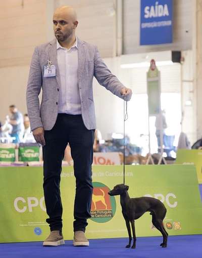 Romeo Adriano