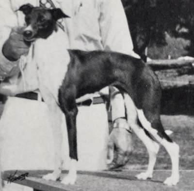 Ishidot's Doganna Ross