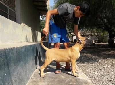 CHAMAN DE PATARATA RIO