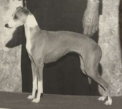 Prima's Princess Bianca