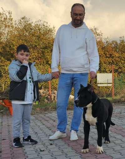 HEYBET DE ISTANBUL