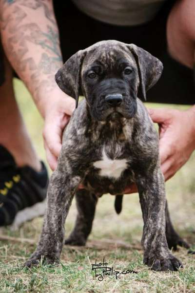ULTIMATE SELECTION ZOI MOU