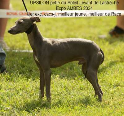 Upsilon Petje Du Soleil Levant De Lastreche
