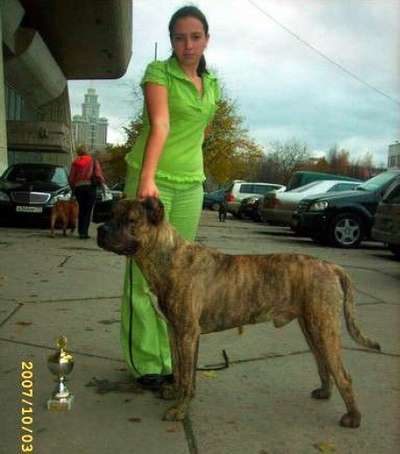 SANCHES RODJERS D'PLATA KOPO