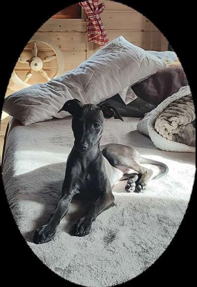 Frigga vom Wolfskin