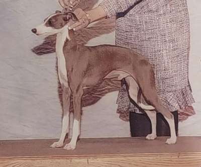 Como's Bugle Boy Blue