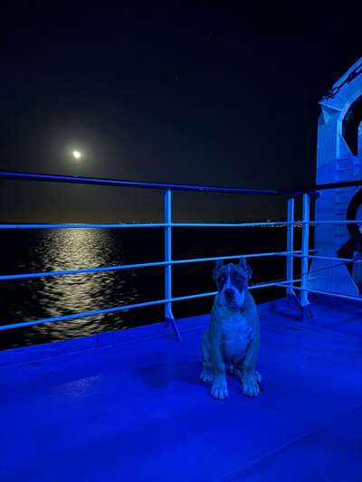 CARONTE DE LOS MENCEYES
