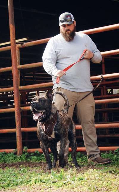 CASH DE AMERICANBULL