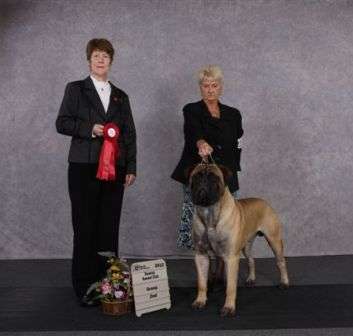 KNATCHBULL'S KENTUCKY ZACHERY