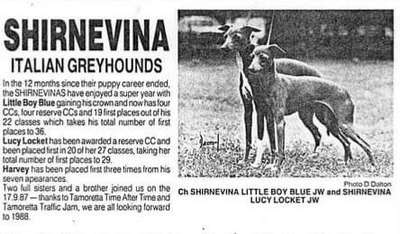 Shirnevina Lucy Locket
