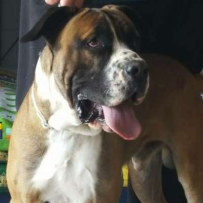 MACGREGOR DE KING ZULU