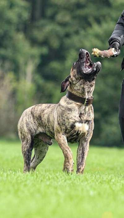 KYRO DE V’CANBULL