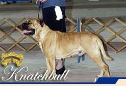 DOMINA PRIZZI OF KNATCHBULL
