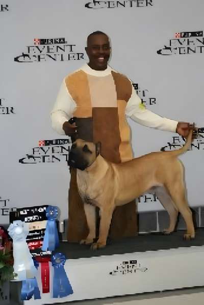 MID AMERICA K-9 BRIO