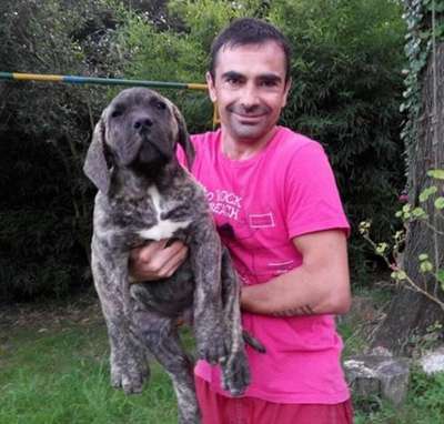 ROBI DE PRESAS DE LA GALIA