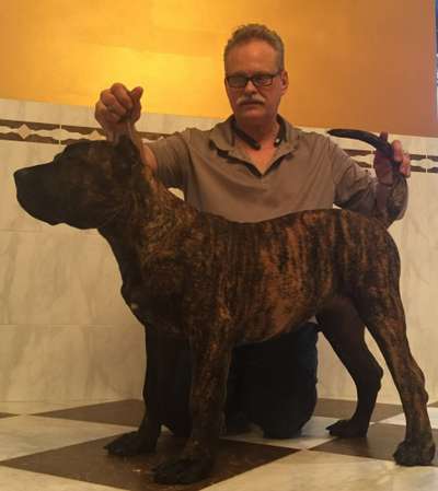 BRAVO KENNEL'S TIKI