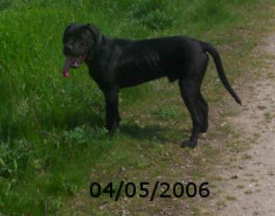 TROY J7