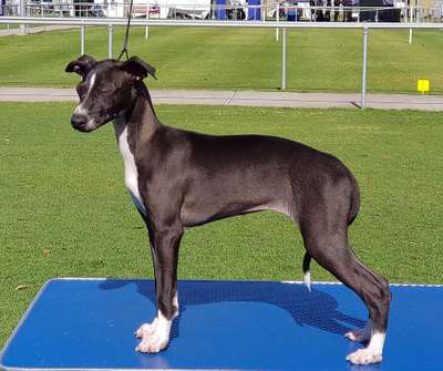 Tahrae Bossmans Daughter