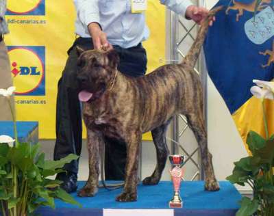 LUPE DE CRISDOCO