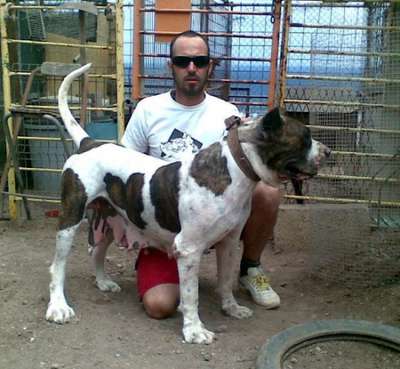 CHUTA DE LINEA M