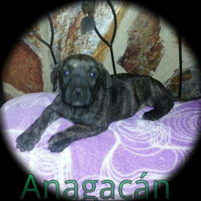 KIOBA DE ANAGACáN