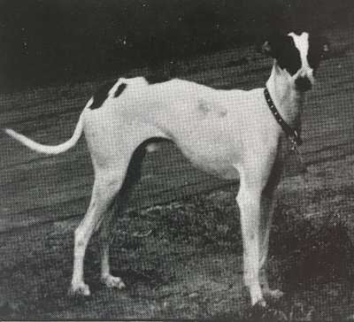 Avagadro's One Puccini