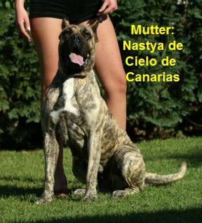 NASTYA DE CIELO DE CANARIAS