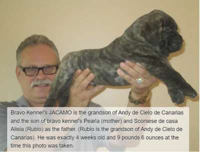 BRAVO KENNEL’S JACAMO