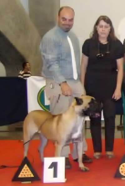 NARA DE GUADANETH