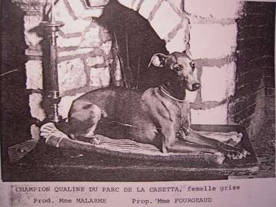 Qualine Du Parc De La Casetta