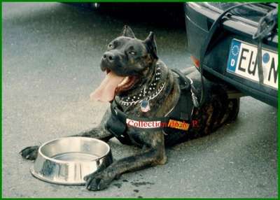 MARIA DE LA ARENA