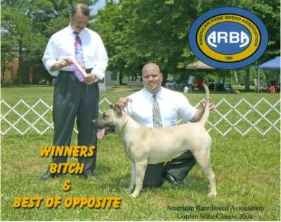 BRAVO KENNEL’S MYA