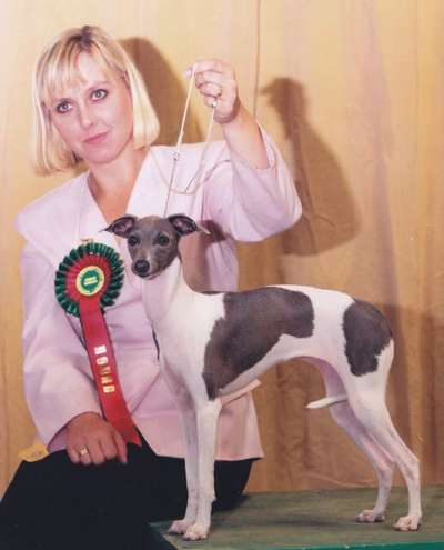 Salatini Soraya