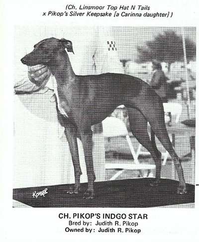 Pikop's Indgo Star