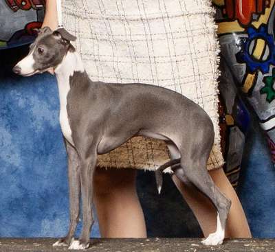 Marlord's Malibu Barbie at Ruscelli
