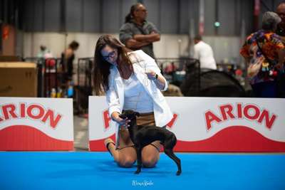 Polina Chambo Olimpia De Gouges