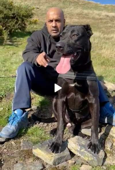 ROXY OF SEVEN SHARKY DINASTY KENNEL