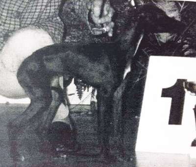 Ombre Chinoise Des Trois Pyramides
