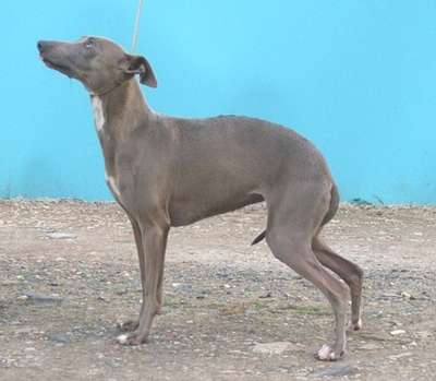 Tunamara Karita