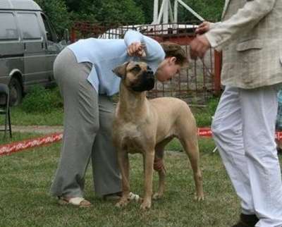 ZOLOTAYA L'VICA OT KURASH