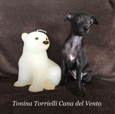 Tonina Torrielli Cana del Vento
