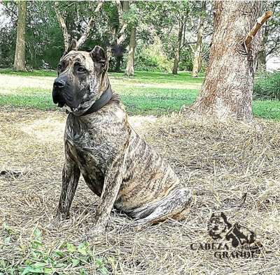 CARLITA DE CABEZA GRANDE