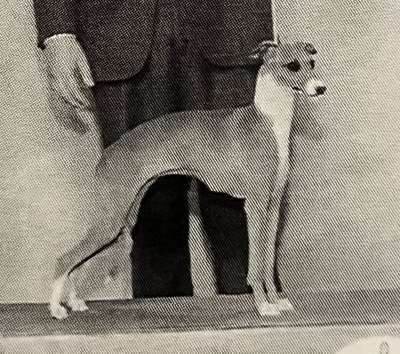 Bo-Bett's First Class