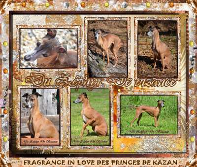 Fragrance In Love Des Princes De Kazan