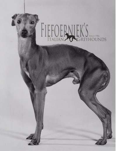 Fiefoerniek's Facsimile