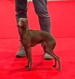 Dante Del Ocejón