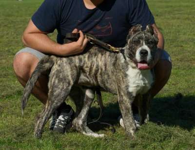 NIKITA
