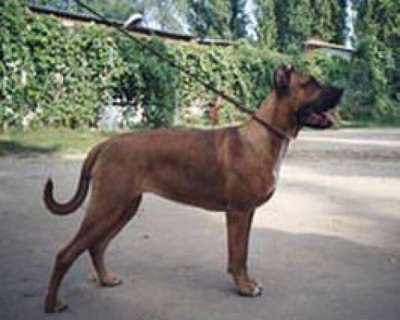 SCALA RED
