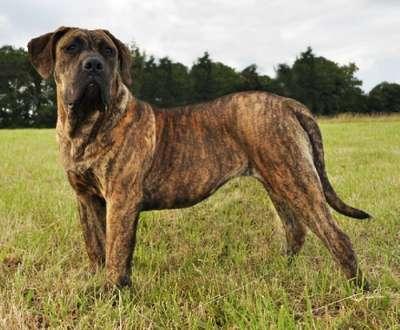 FOPHIE FAVIER DES CONTES DE LOLA