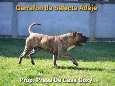 GARRAFON DE SELECTA ADEJE